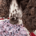 Load image into Gallery viewer, Soda Pup - Bones Emat Enrichment Lick Mat - Teddy DogWear
