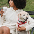 Load image into Gallery viewer, Pet Dog Air Tag Holder - Teddy DogWear