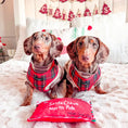 Load image into Gallery viewer, Cocopup London – Adjustable Neck Harness – Tartan - Teddy DogWear