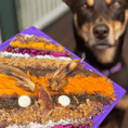 Load image into Gallery viewer, Soda Pup - Bones Emat Enrichment Lick Mat - Teddy DogWear