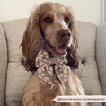 Load image into Gallery viewer, Cocopup London - Luxe Sailor Bow Tie - Mocha Flower - Teddy DogWear
