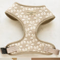 Load image into Gallery viewer, Cocopup London Mocha Flower - Teddy DogWear