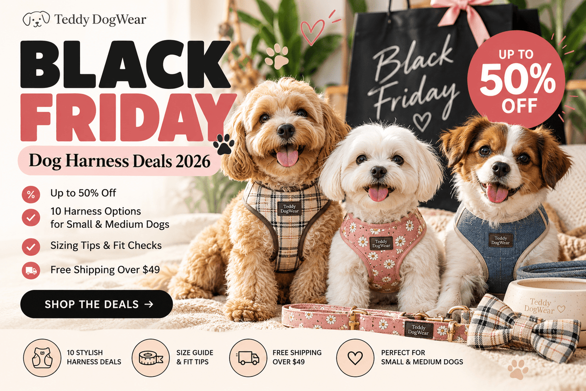 Top 10 Best Black Friday Dog Harnesses Deals 2026 - Teddy DogWear