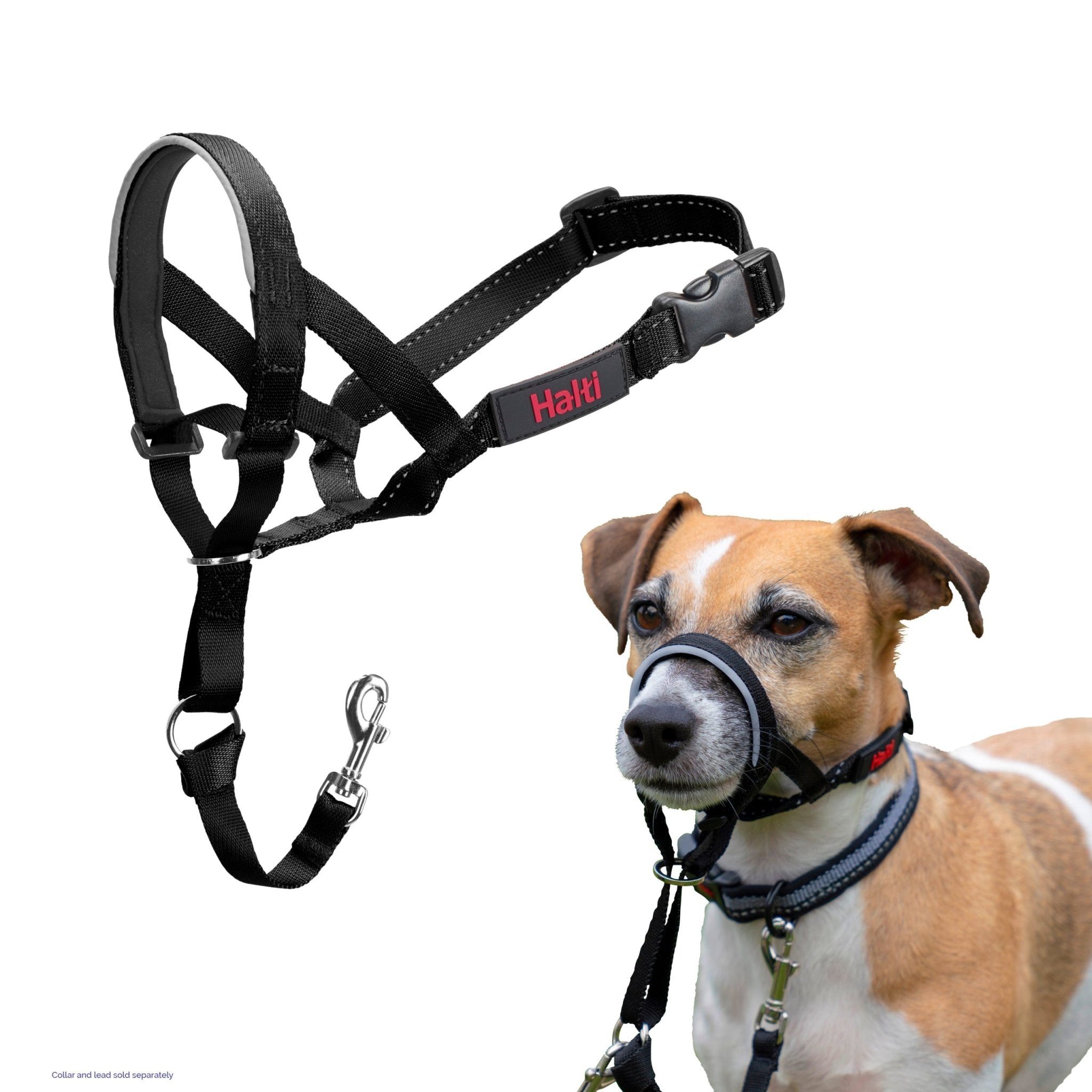 Company of Animals – Halti – Headcollar - Teddy DogWear