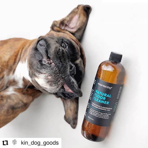 Essential Dog - Natural Floor Cleaner (Eucalyptus and Lemongrass) - Teddy DogWear