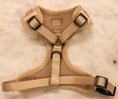 Load image into Gallery viewer, Chai Harness Adjustable - Teddy DogWear
