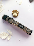 Load image into Gallery viewer, Teddy DogWear Harness, Collar Leash
