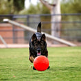 Load image into Gallery viewer, Rover Pet Products - Jolly Soccer Ball - Teddy DogWear
