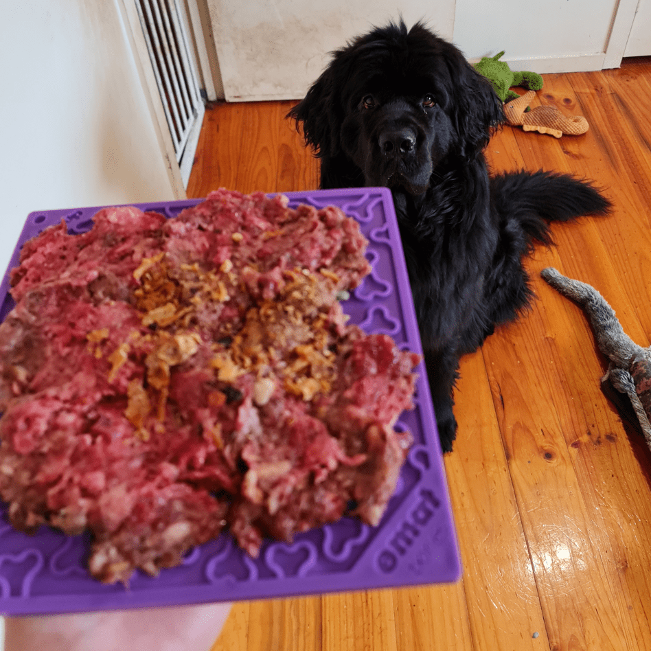 Soda Pup - Bones Emat Enrichment Lick Mat - Teddy DogWear