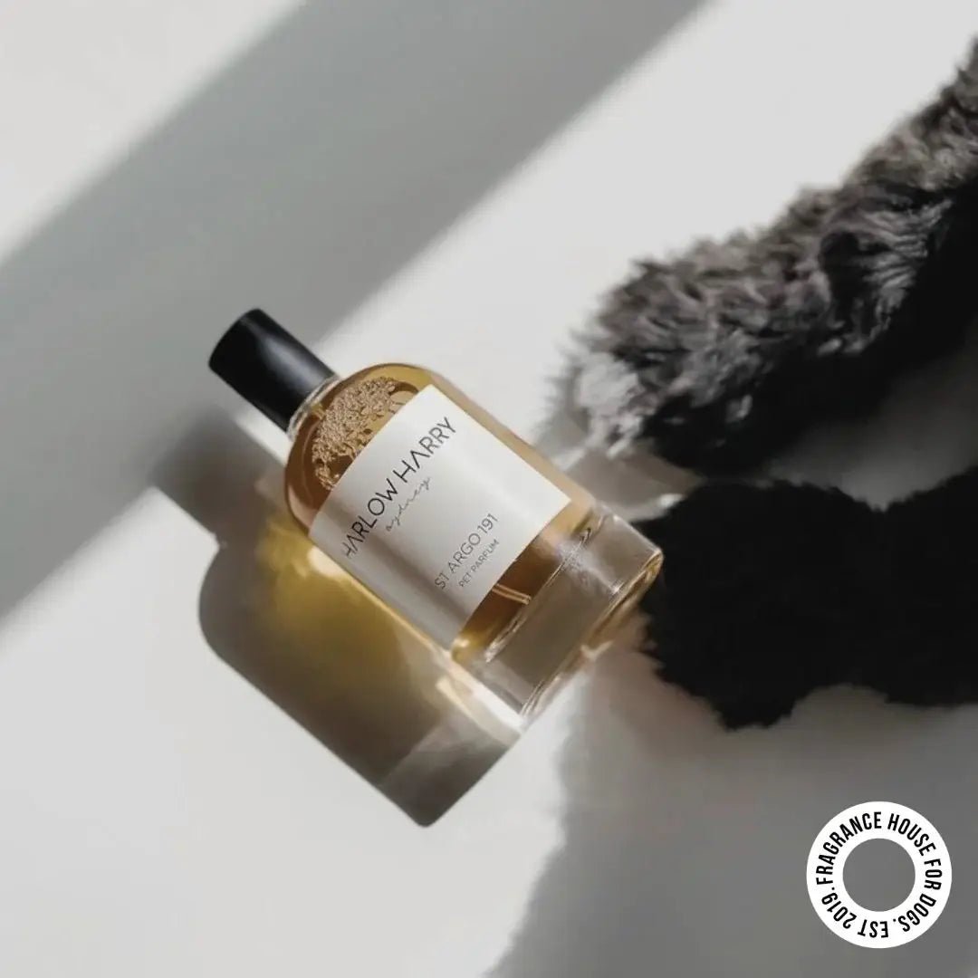 HARLOW HARRY - Dog Perfume | Solera 145 - Teddy DogWear