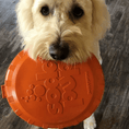 Load image into Gallery viewer, Rover Pet Products - Original Bottle Top Flyers - Teddy DogWear
