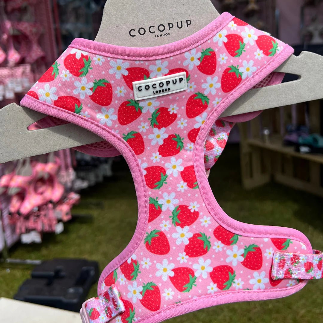 Cocopup London – Adjustable Neck Harness – Pupberry Fields - Teddy DogWear