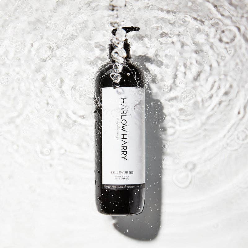 HARLOW HARRY - 2 - in - 1 Conditioning Dog Shampoo | Bellevue 162 - Teddy DogWear