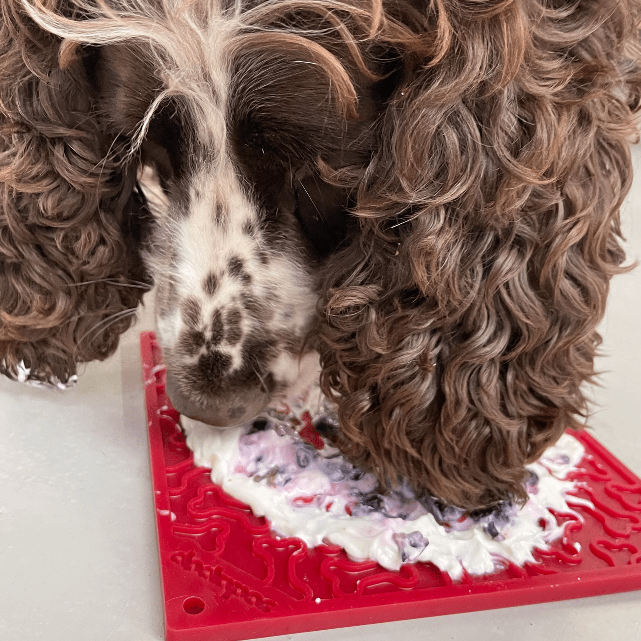 Soda Pup - Bones Emat Enrichment Lick Mat - Teddy DogWear