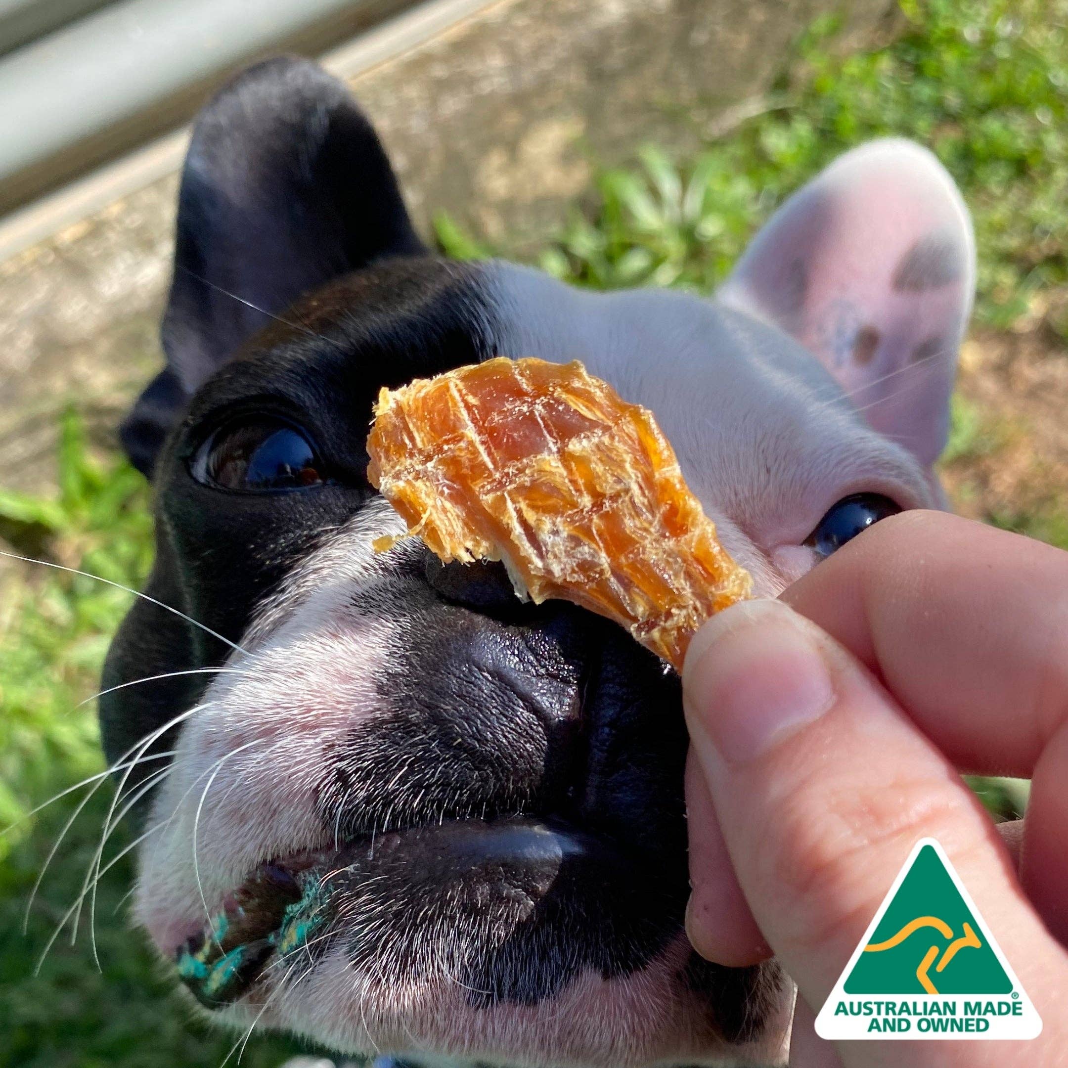 Rover Pet Products - Roast Chicken Dinner - Chicken Breast Jerky - Teddy DogWear