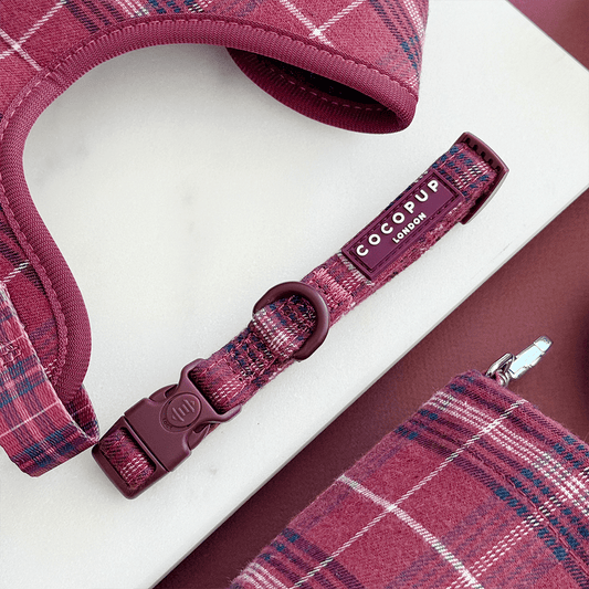 Cocopup London - Mulberry Plaid COLLAR - Teddy DogWear