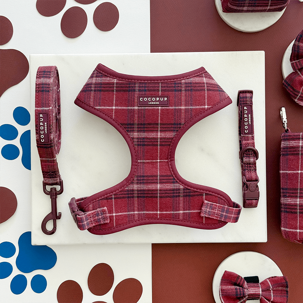 Cocopup London - Mulberry Plaid COLLAR - Teddy DogWear