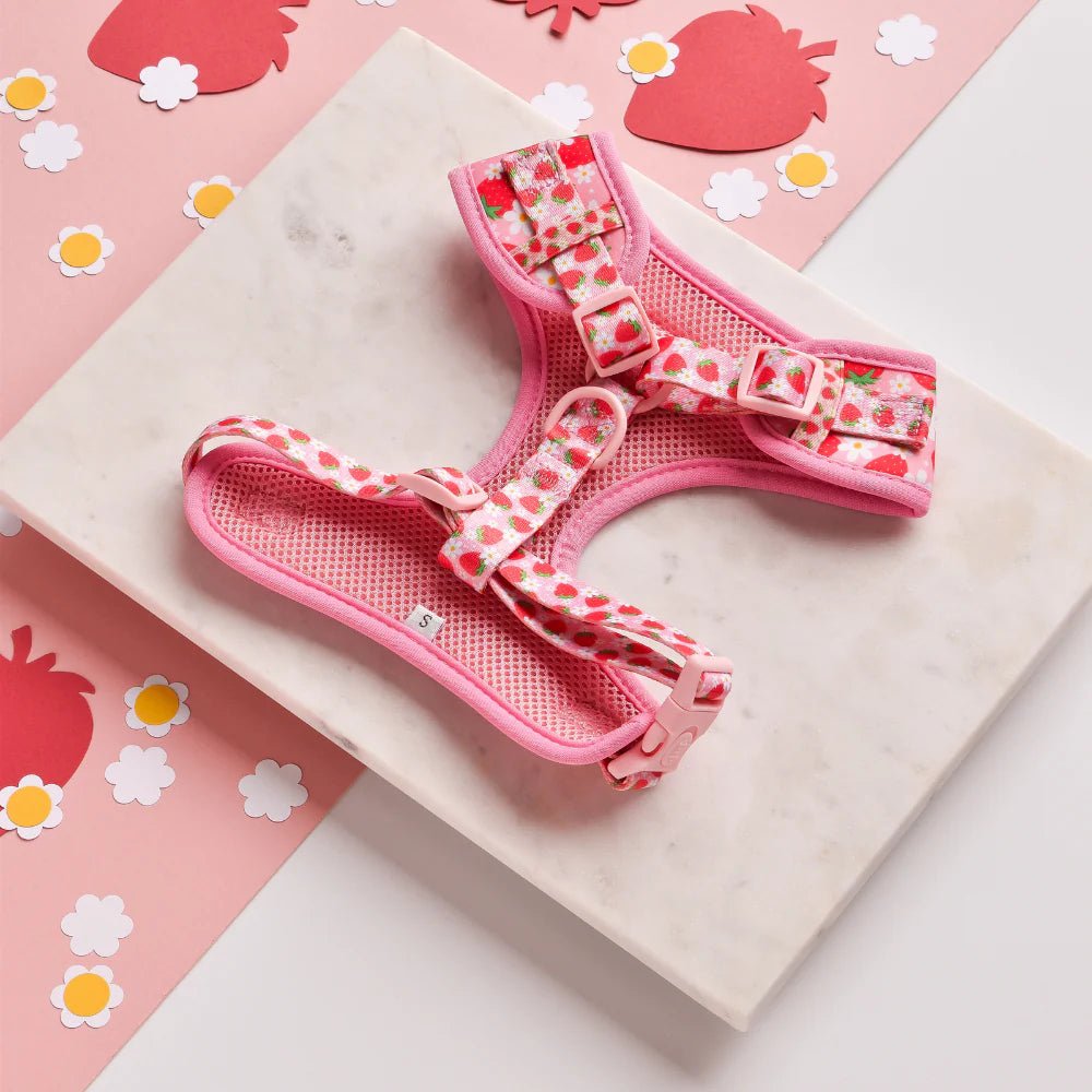 Cocopup London – Adjustable Neck Harness – Pupberry Fields - Teddy DogWear