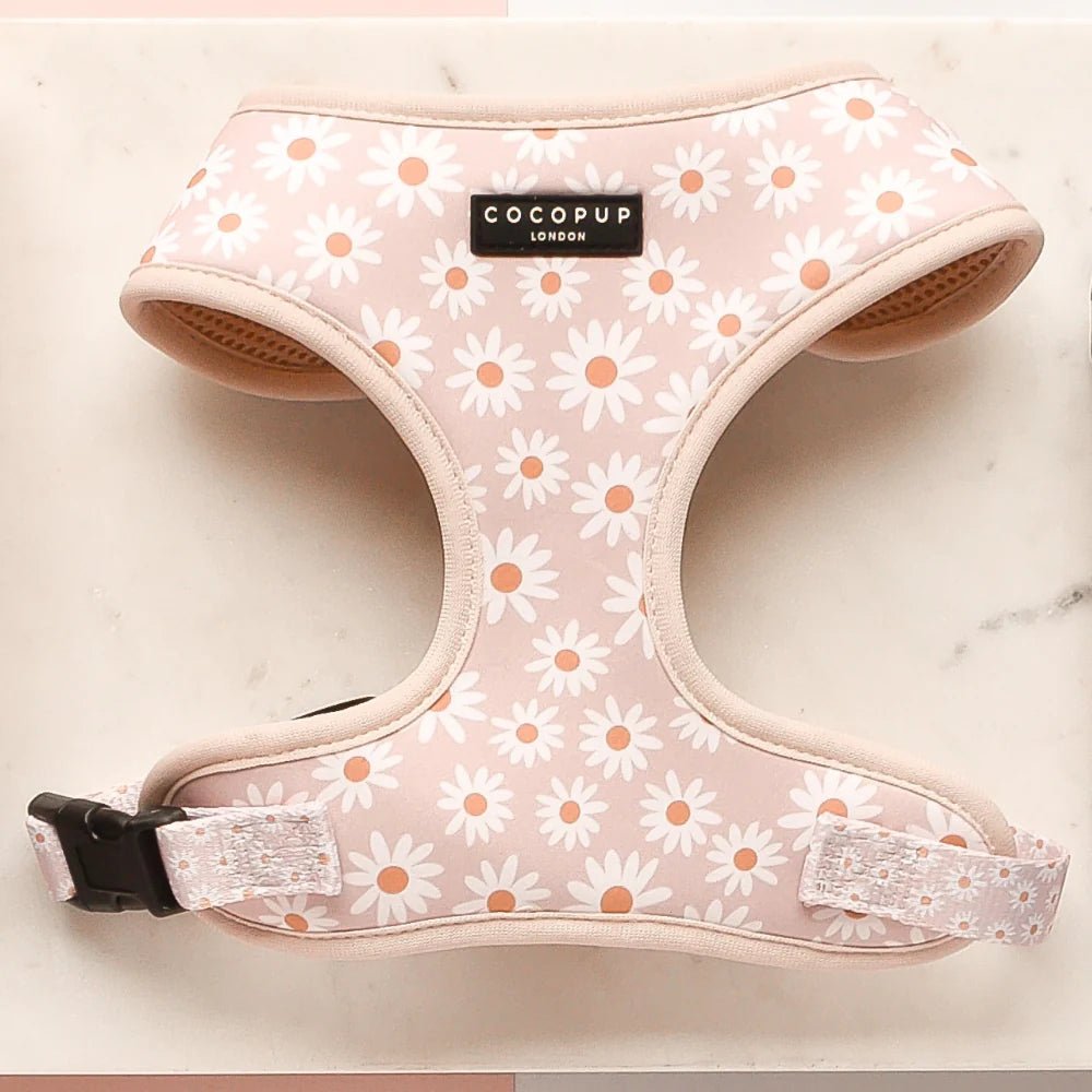 Cocopup London Daisy Chain - Teddy DogWear