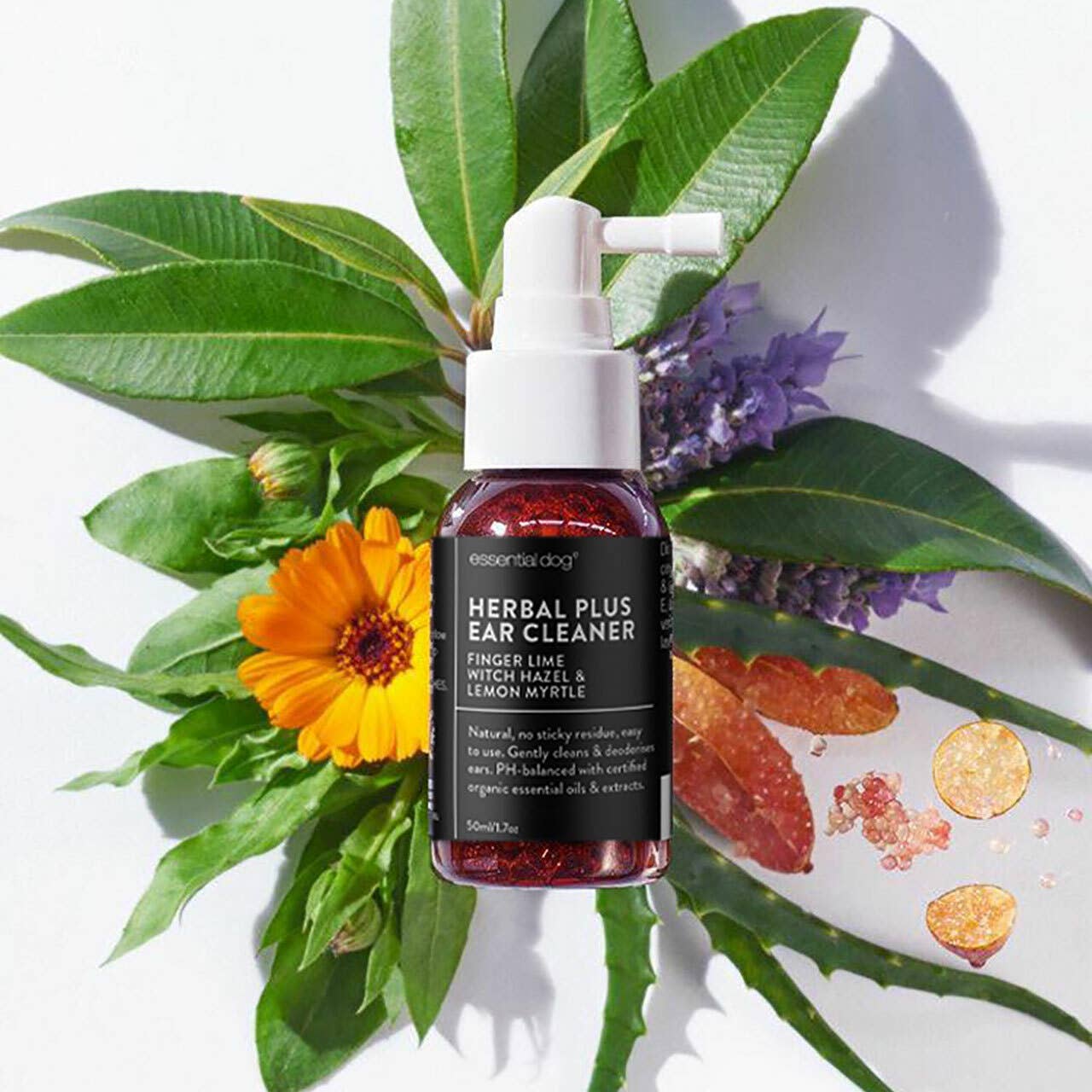 Essential Dog - Herbal Dog Ear Cleaner (Finger Lime & Lemon Myrtle) - Teddy DogWear