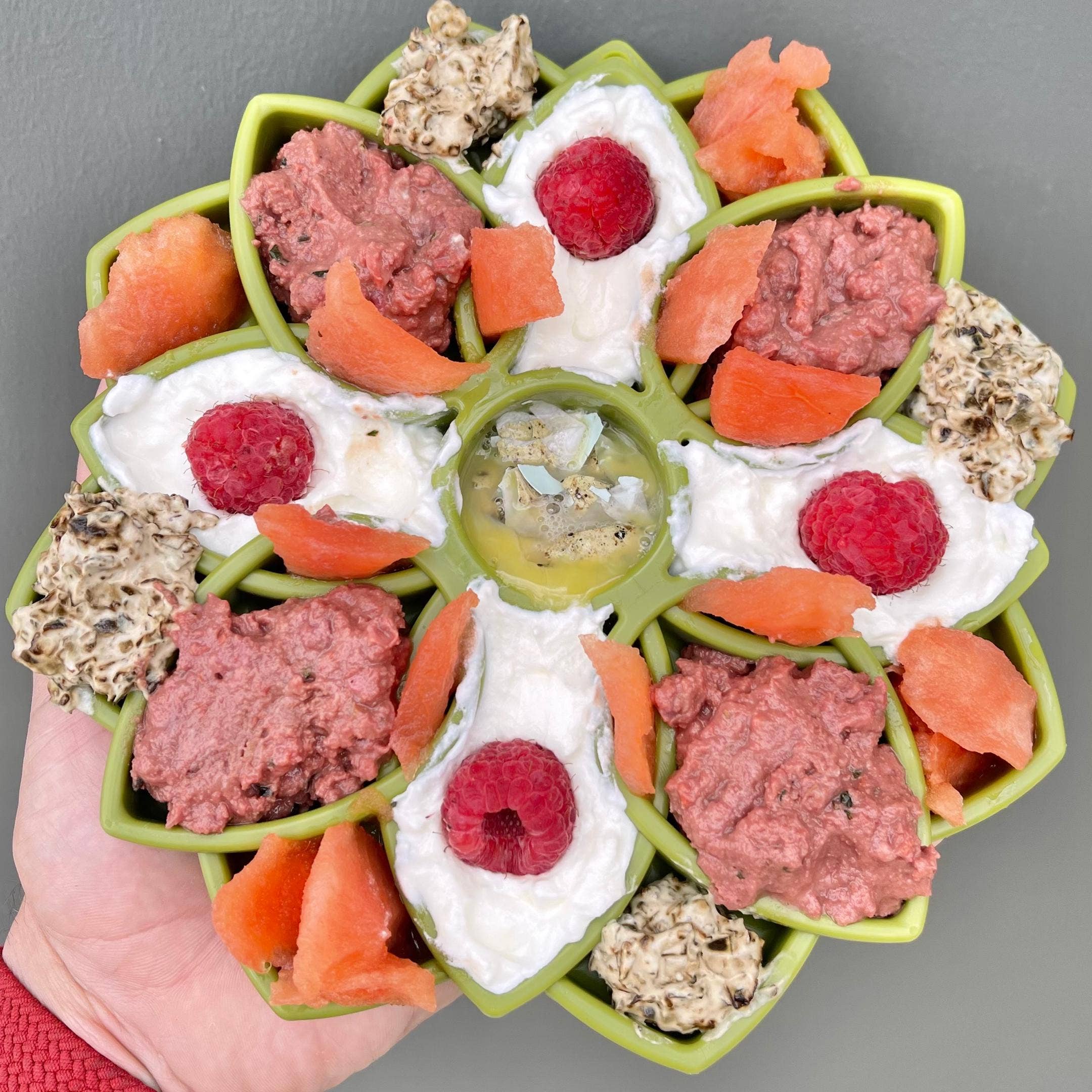 Soda Pup - Mandala eTray Slowfeeder eTray - Teddy DogWear