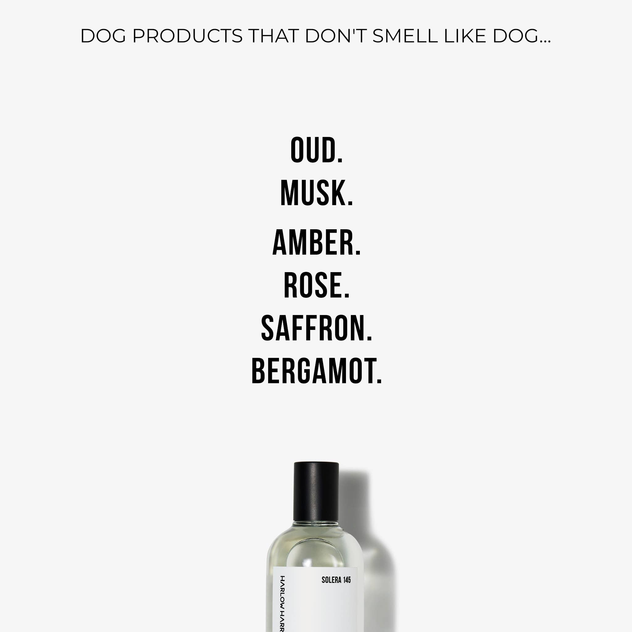 HARLOW HARRY - Dog Perfume | Solera 145 - Teddy DogWear