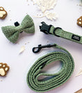 Load image into Gallery viewer, Teddy DogWear Harness, Collar Leash
