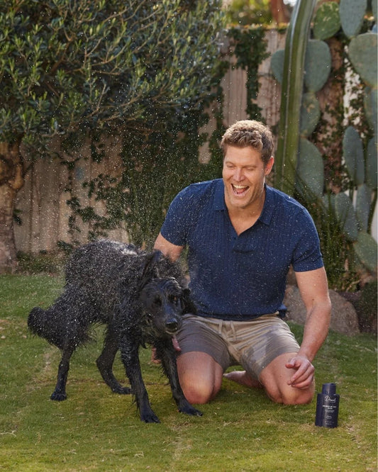 Drool By Dr Chris Brown Sooth My Skin - Teddy DogWear