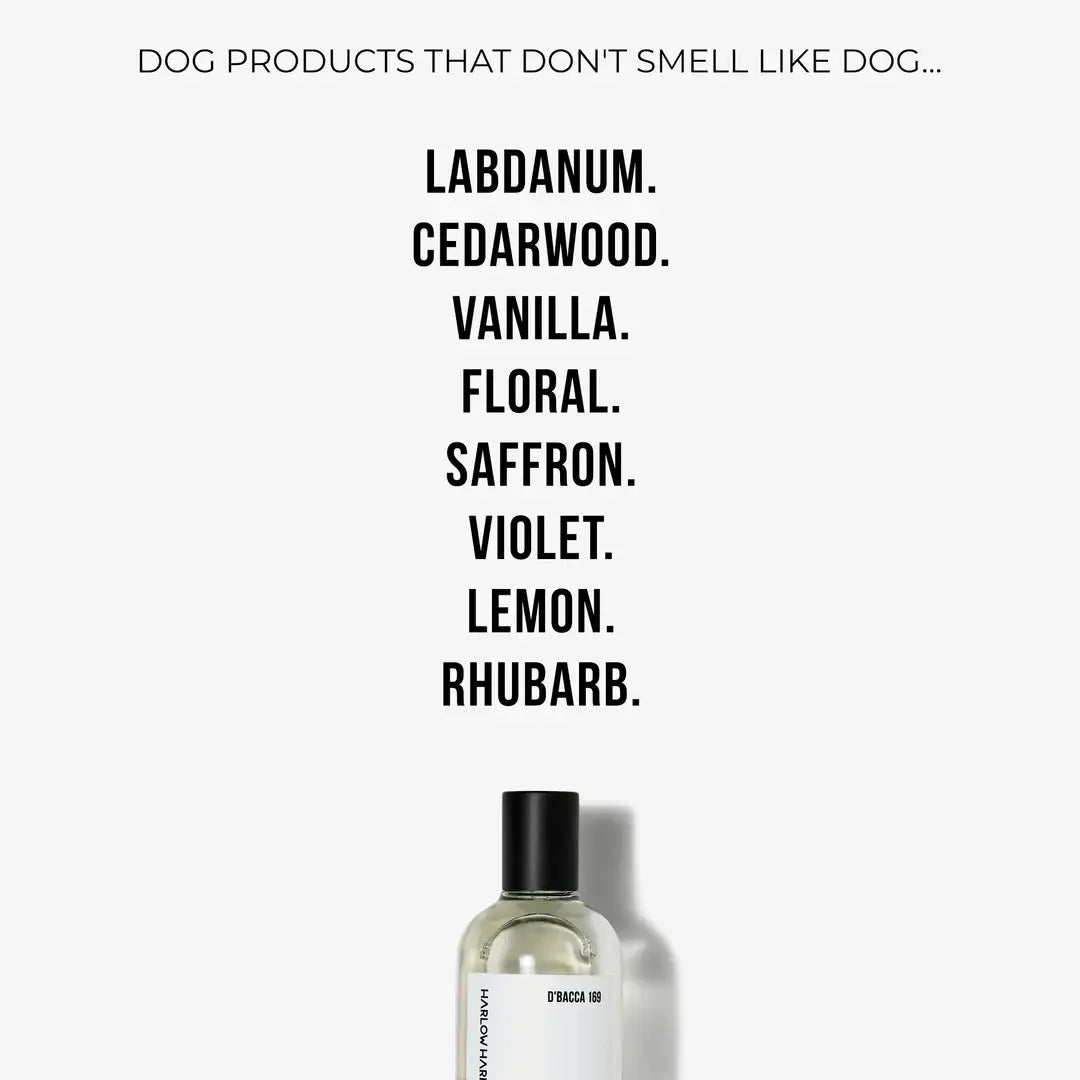 HARLOW HARRY - Dog Perfume | D'bacca 169 - Teddy DogWear