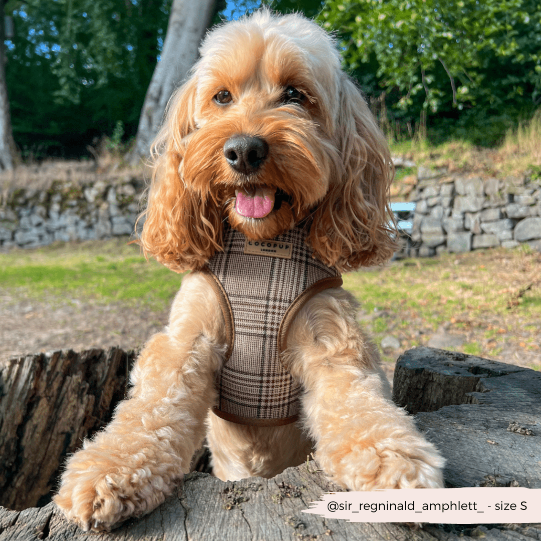 Cocopup London - Pup Plaid Adjustable Neck Harness - Teddy DogWear