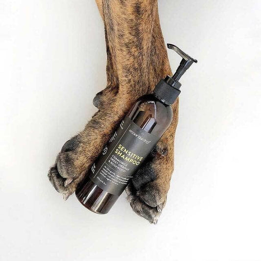 Essential Dog - Sensitive Dog Shampoo & Conditioner (Chamomile & Rosewood) - Teddy DogWear