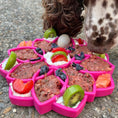 Load image into Gallery viewer, Soda Pup - Mandala eTray Slowfeeder eTray - Teddy DogWear
