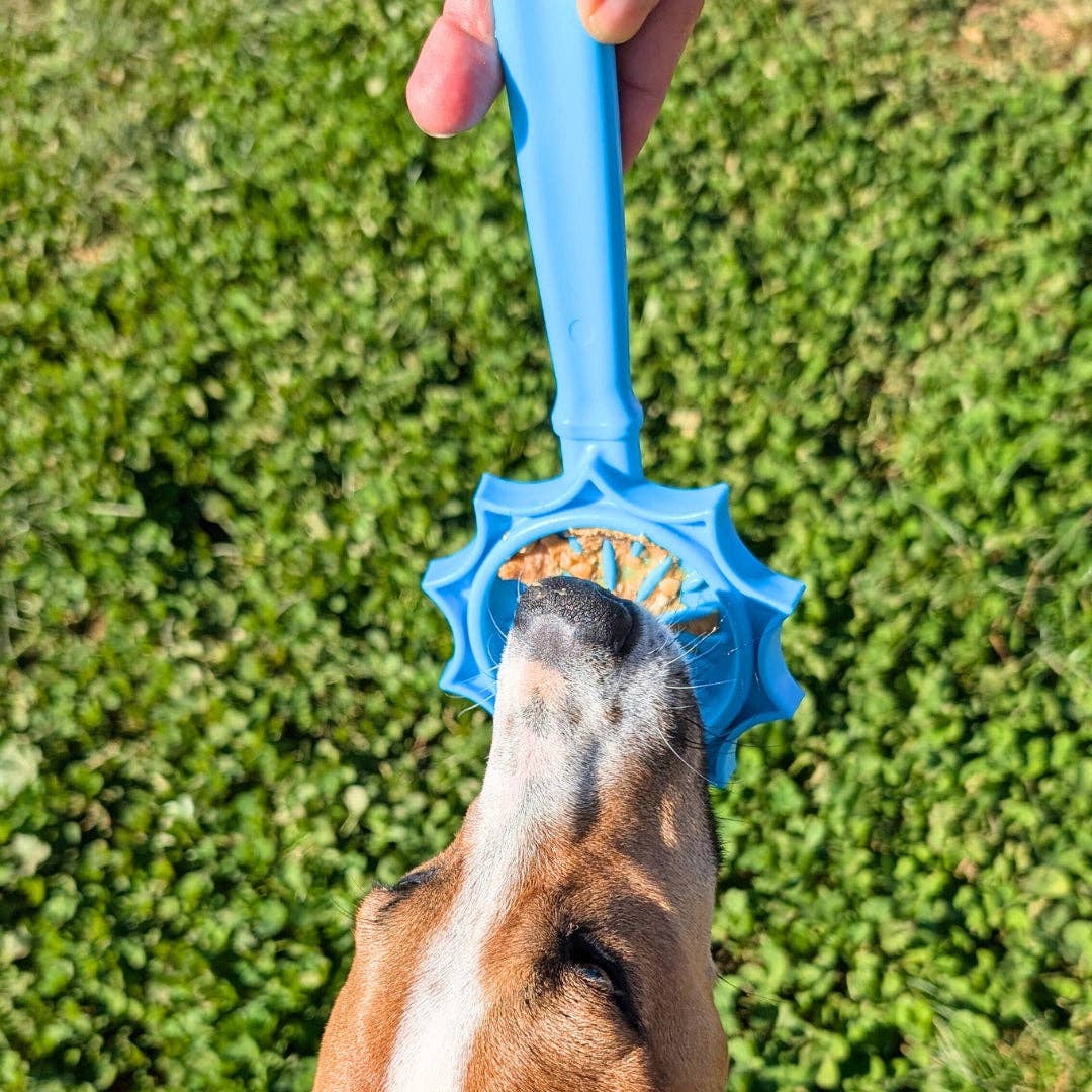 Soda Pup - Lick Sticks - Teddy DogWear