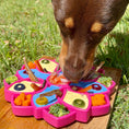 Load image into Gallery viewer, Soda Pup - Mandala eTray Slowfeeder eTray - Teddy DogWear
