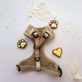 Load image into Gallery viewer, Teddy DogWear Harness, Collar Leash - Teddy DogWear

