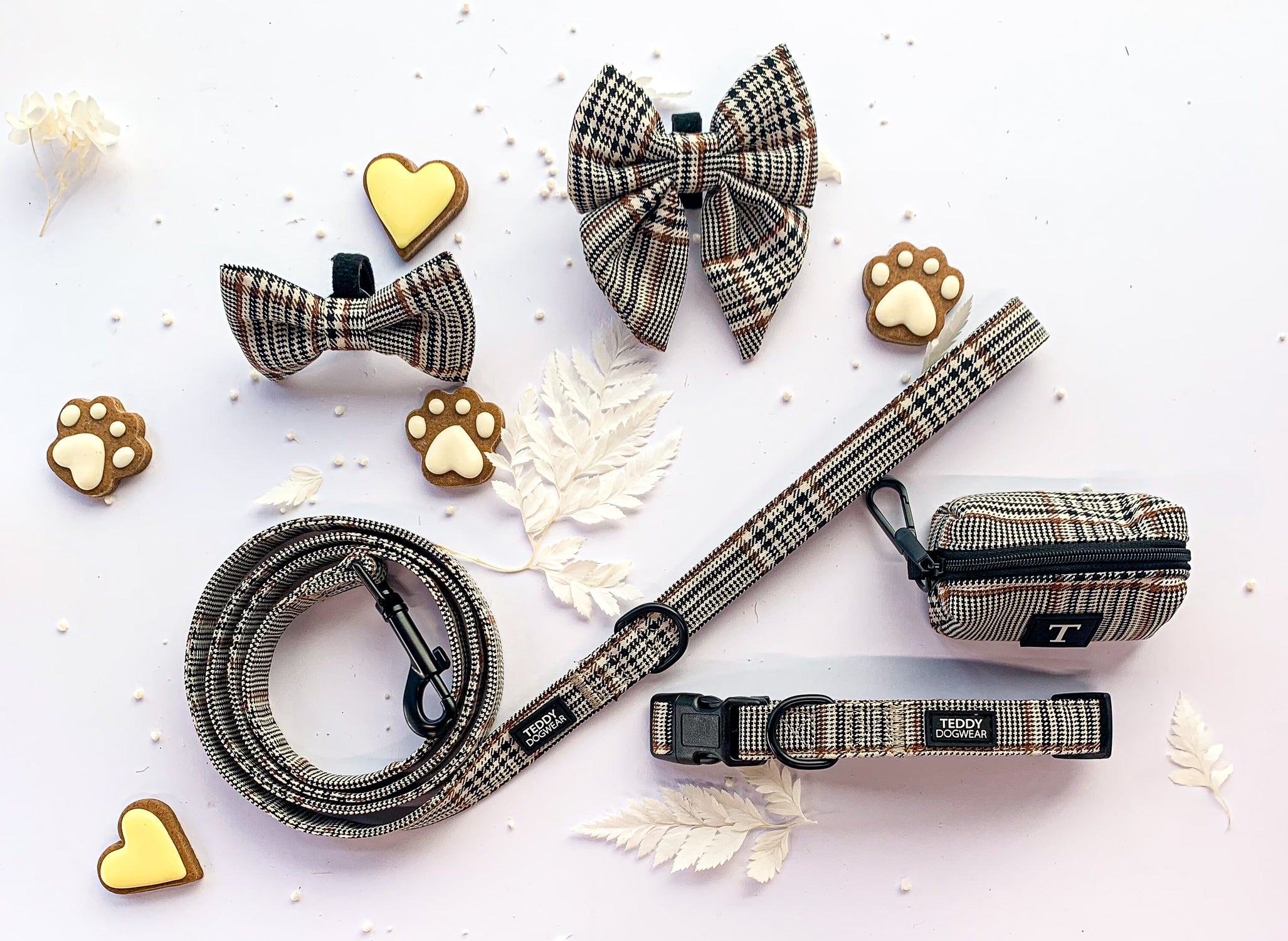 Dog Collars & Harnesses