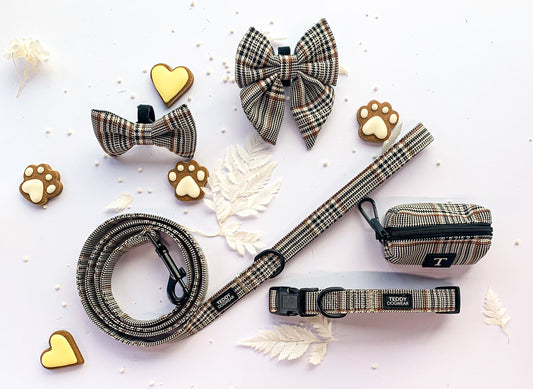 Teddy DogWear Harness, Collar Leash