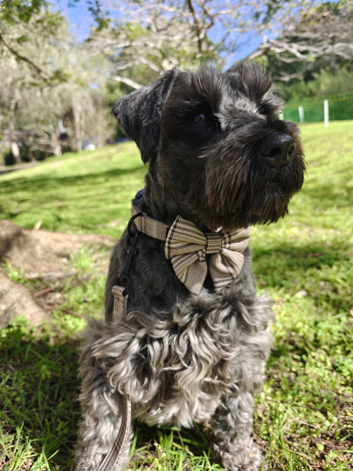 Premium Dog Plaid DK Harness Collar Lead Bow Tie