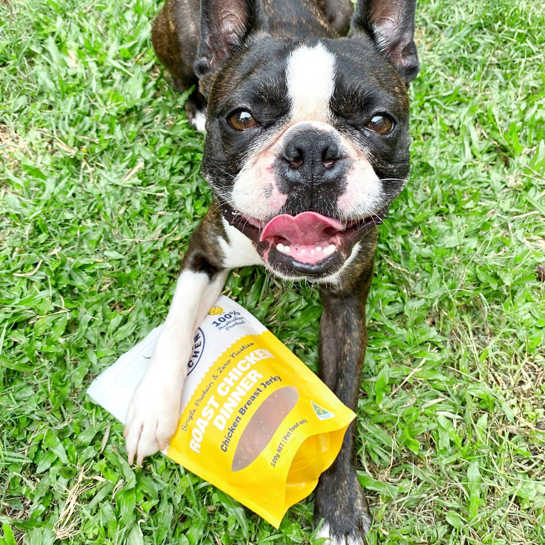 Rover Pet Products - Roast Chicken Dinner - Chicken Breast Jerky - Teddy DogWear