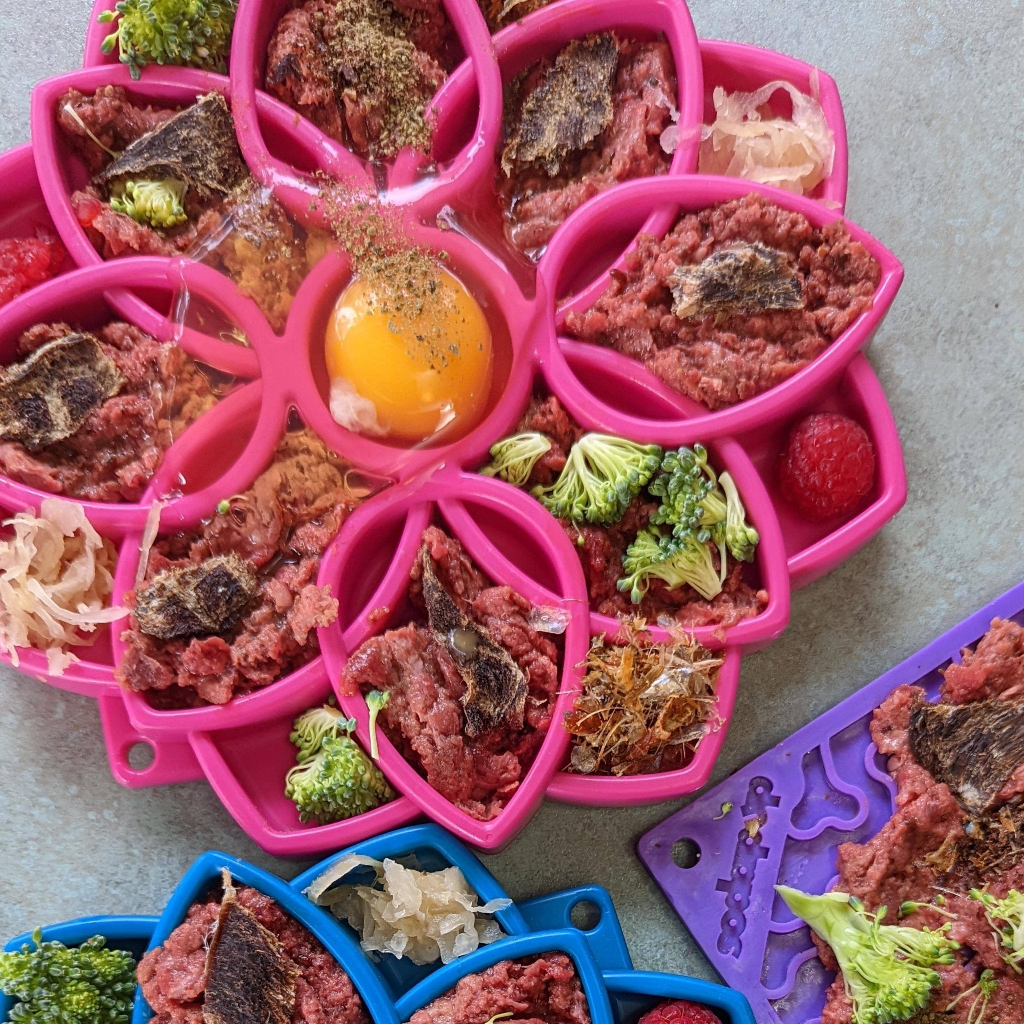 Soda Pup - Mandala eTray Slowfeeder eTray - Teddy DogWear