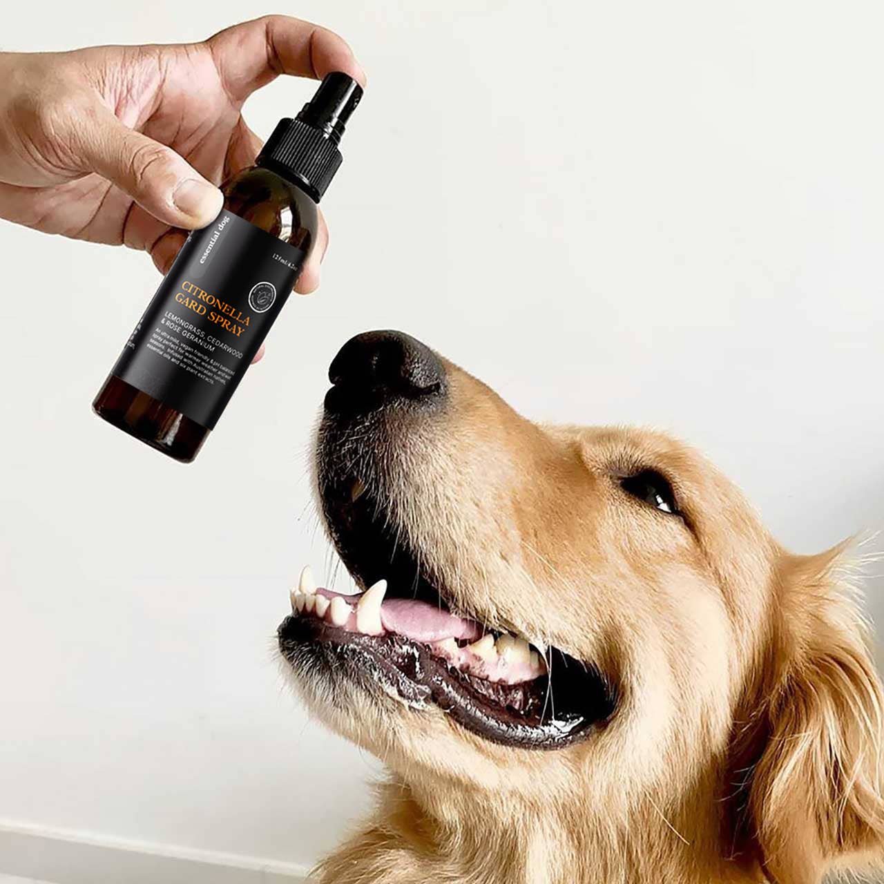 Essential Dog - Citronella Gard Spray (Lemongrass, Cedarwood & Geranium) - Teddy DogWear