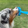 Load image into Gallery viewer, Soda Pup - Lick Sticks - Teddy DogWear
