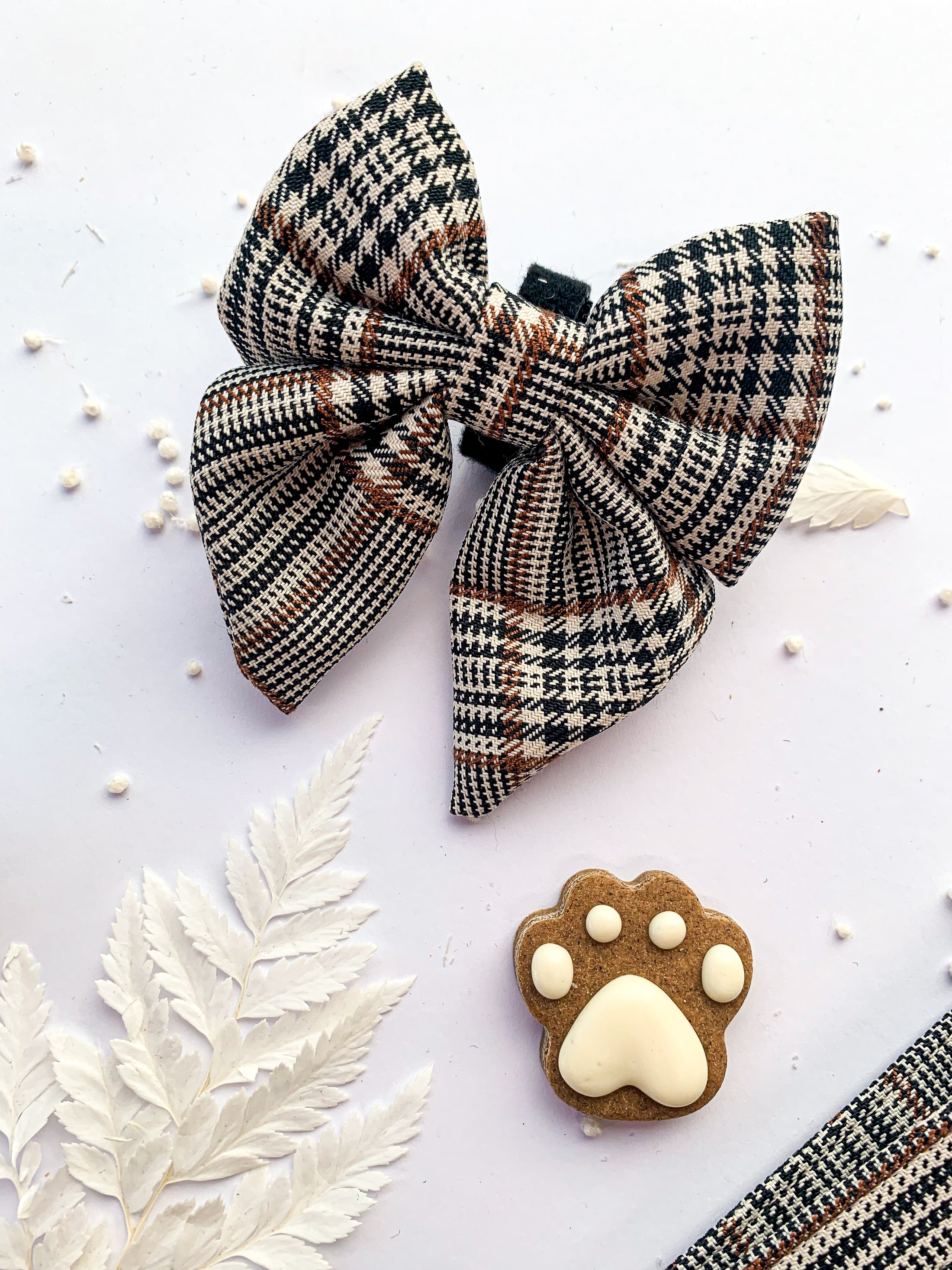 Teddy DogWear Harness, Collar Leash