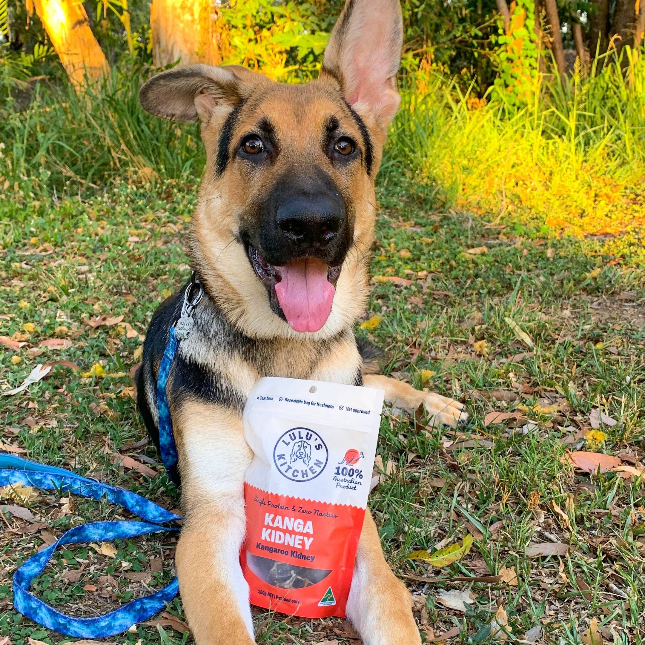 Rover Pet Products - Kanga Kidney - Kangaroo Kidney - Teddy DogWear