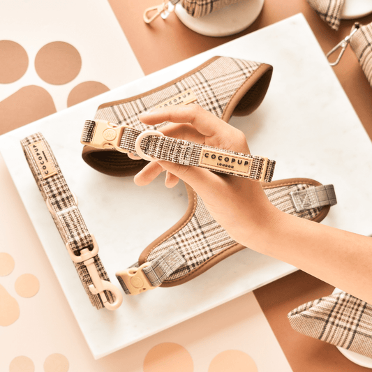 Cocopup London - Pup Plaid Collar - Teddy DogWear