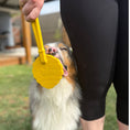 Load image into Gallery viewer, Soda Pup - Lick Sticks - Teddy DogWear
