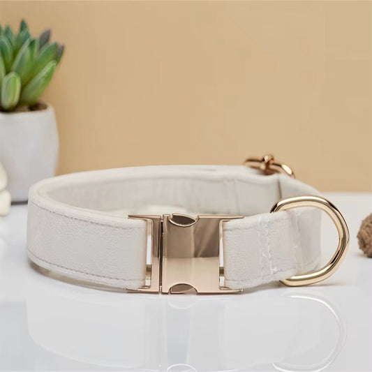 Soft Velvet Personalized Collar - Teddy DogWear