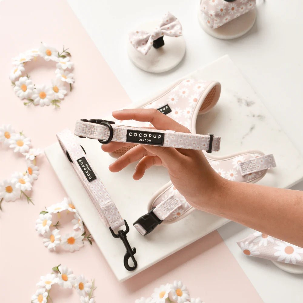 Cocopup London Daisy Chain - Teddy DogWear