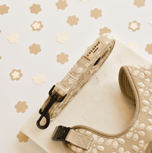 Cocopup London - LUXE Lead - Mocha Flower - Teddy DogWear
