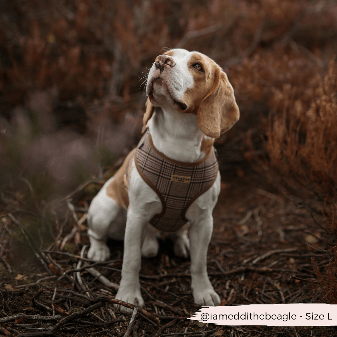 Cocopup London - Pup Plaid Adjustable Neck Harness - Teddy DogWear